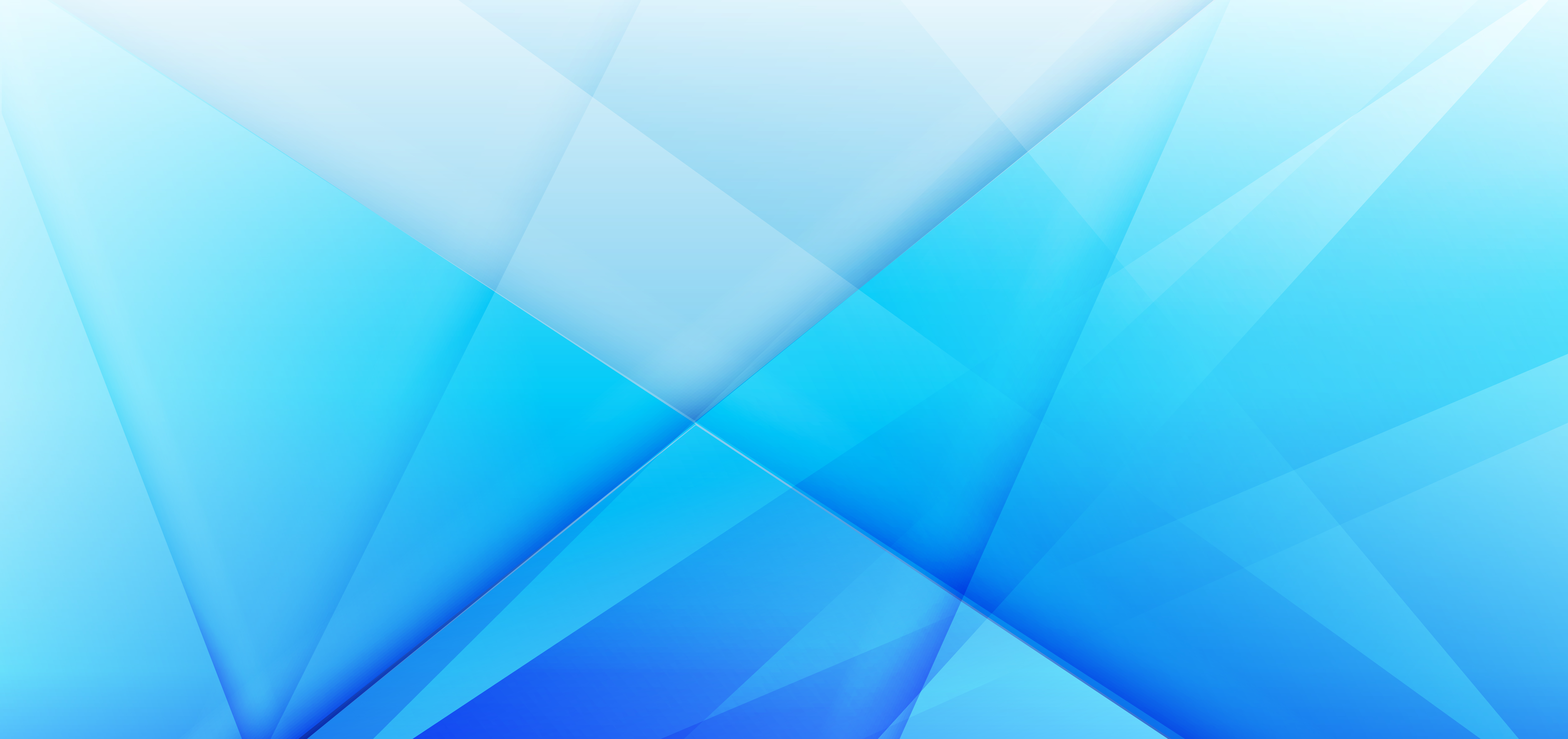 Company Banner